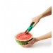 Slicester Watermelon