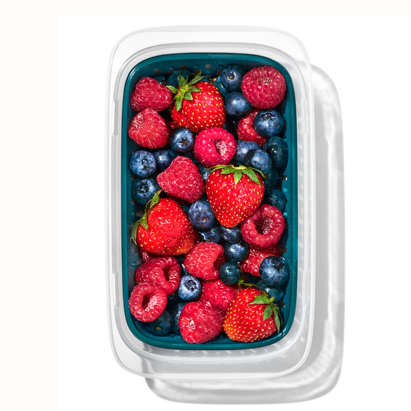 OXO Prep &amp; Go Container with Colander