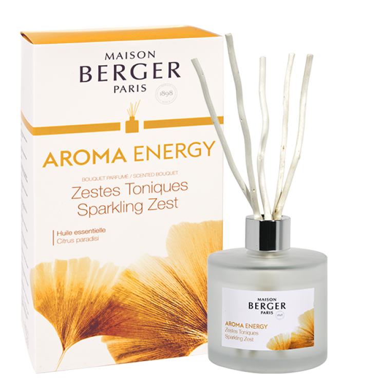 Maison Berger Aroma Energy Diffuser Fragrance Refill 200 ml